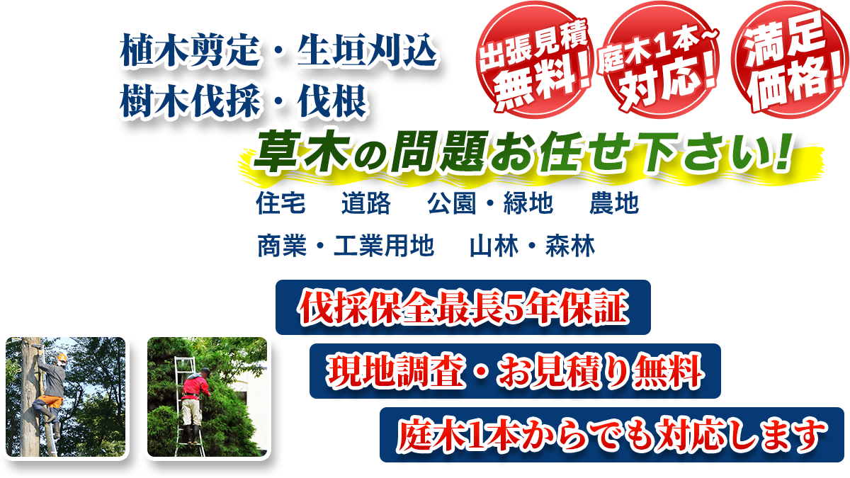 豊田エリア即対応!! 出張無料! 庭木1本~対応! 満足価格! 植木剪定・生垣刈込 樹木伐採・伐根 草木の問題お任せ下さい! 住宅 道路 公園・緑地 農地 商業・工業用他 山林・森林 伐採保全最長5年保証 現地調査・お見積り無料 庭木1本からでも対応します