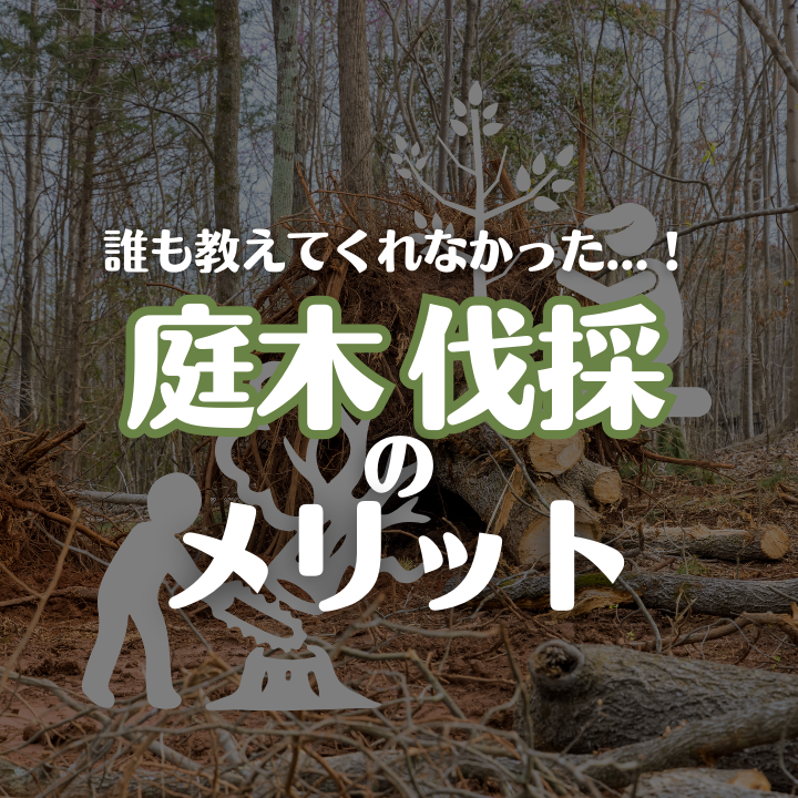 庭木の伐採メリットとは - 花鏡造園